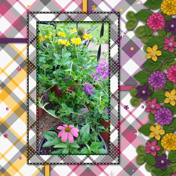Greenhouse Favorites