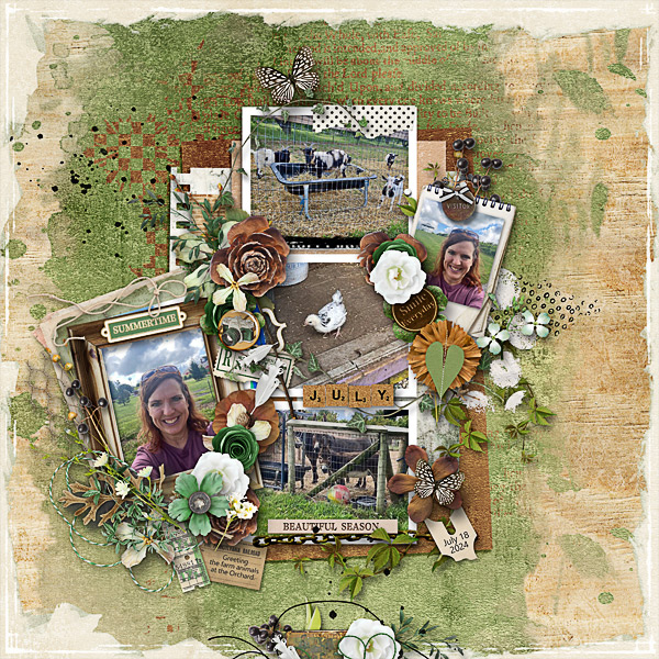 Greeting the Farm Animals