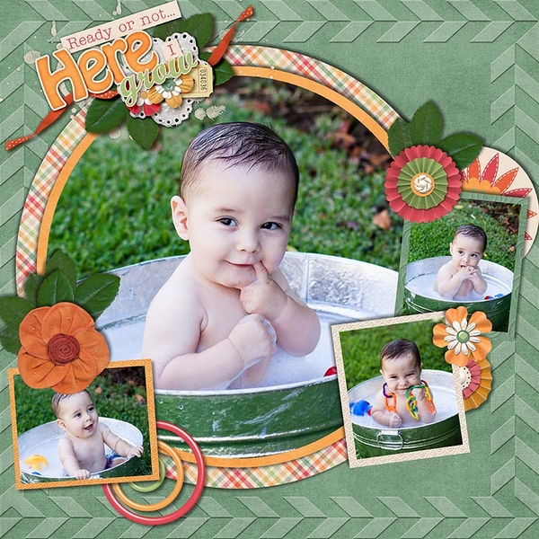 Greyson - Here I Grow