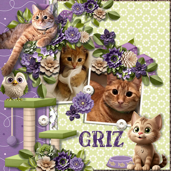 Griz