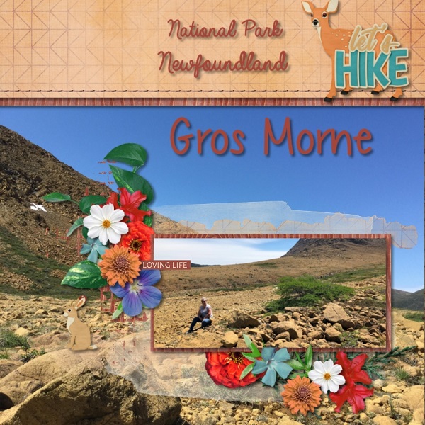 Gros Morne