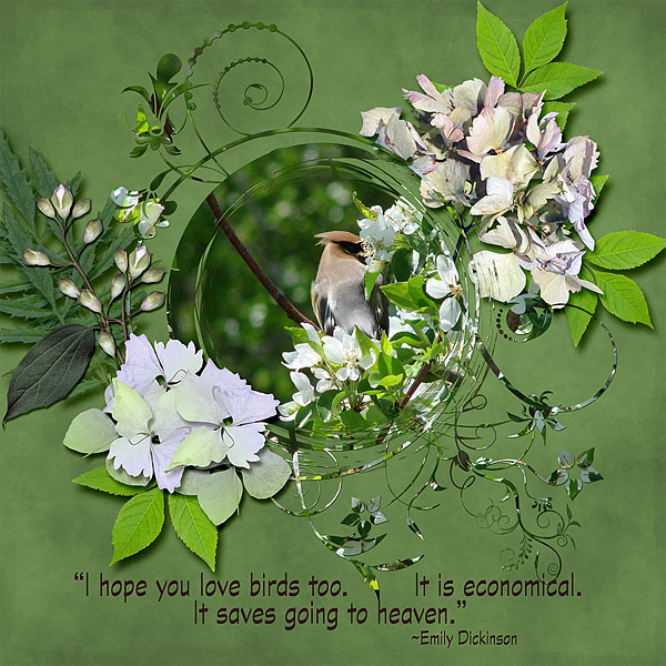 Grosbeak