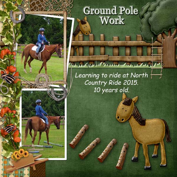 Ground Poles