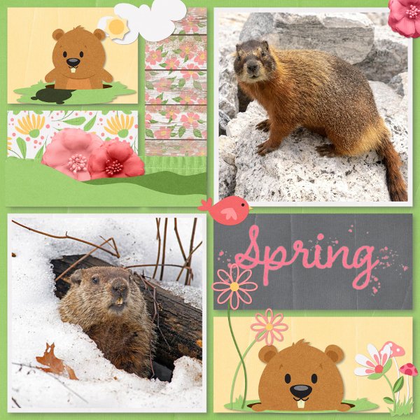 groundhog day.jpg