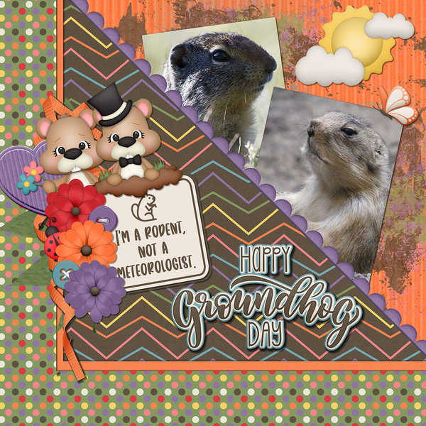 GROUNDHOG DAY