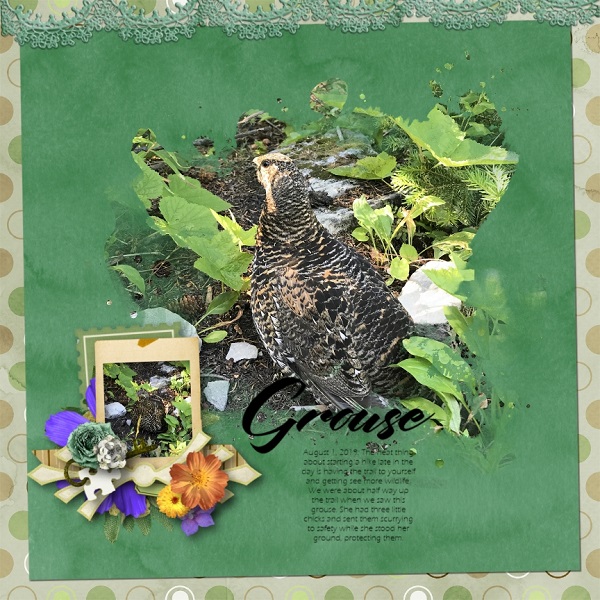 Grouse
