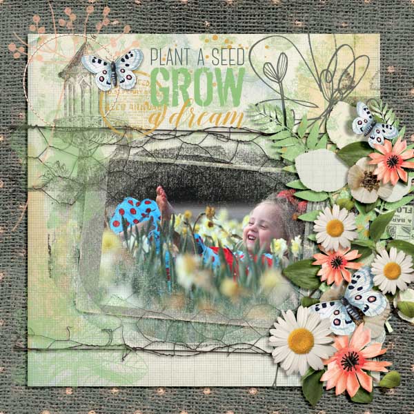 Grow a Dream