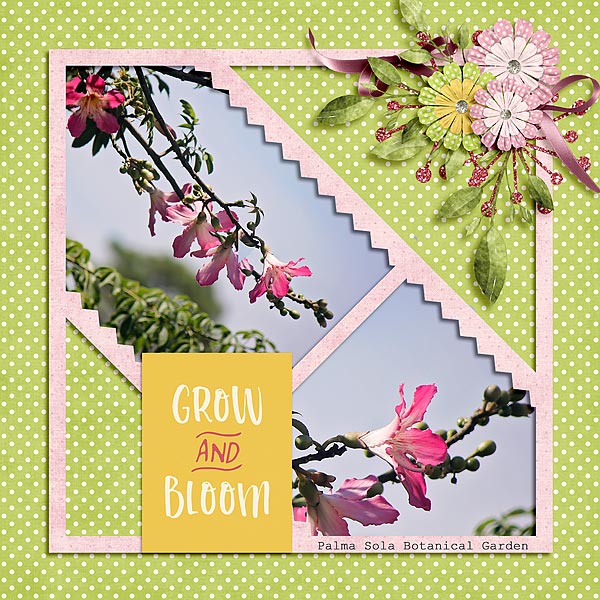 Grow And Bloom