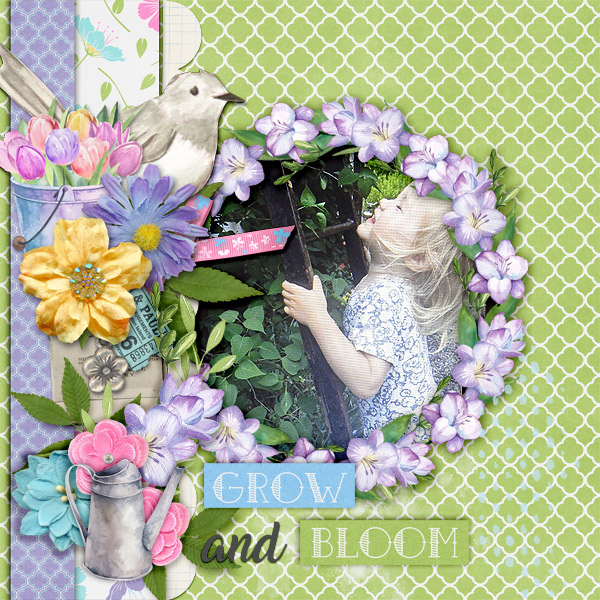 Grow-and-bloom