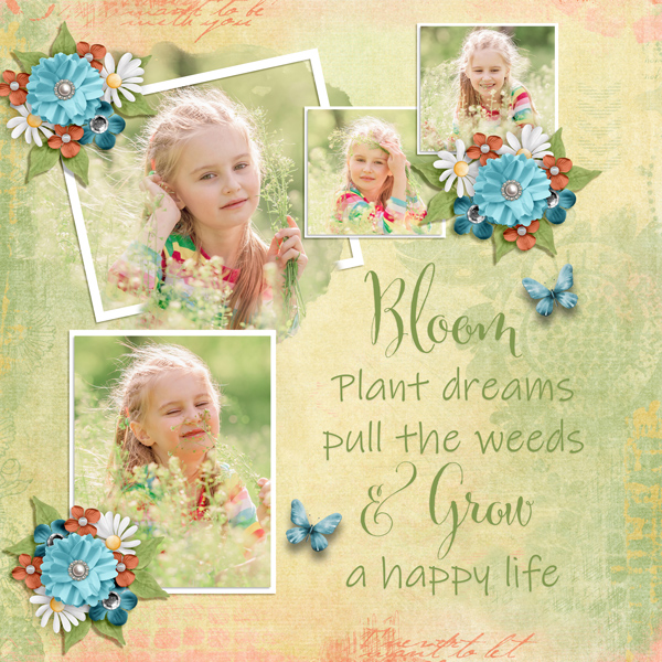 Grow and Bloom