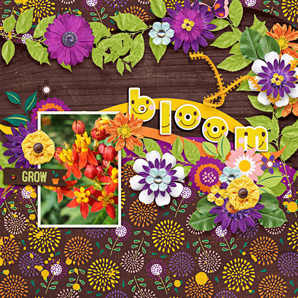 grow + bloom