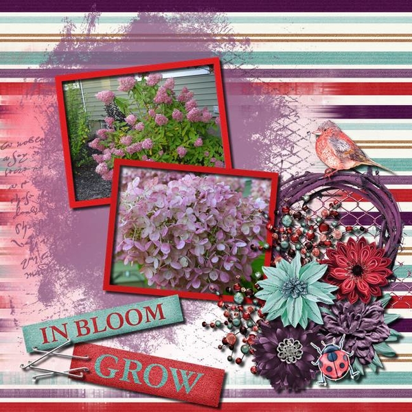 Grow/Bloom