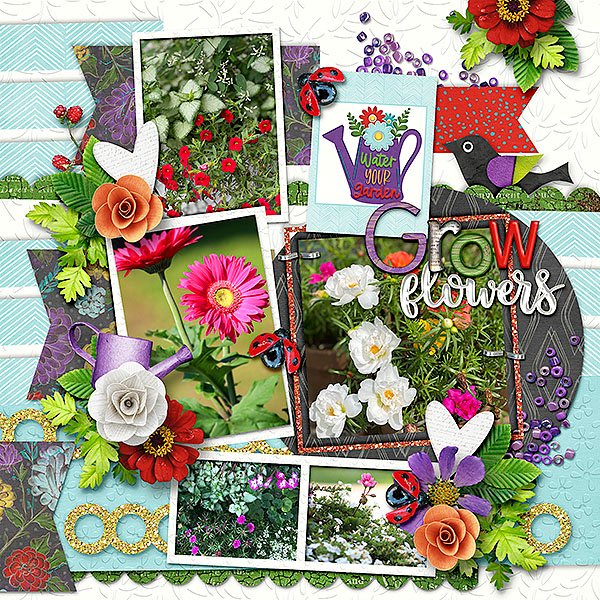 Grow Flowers
