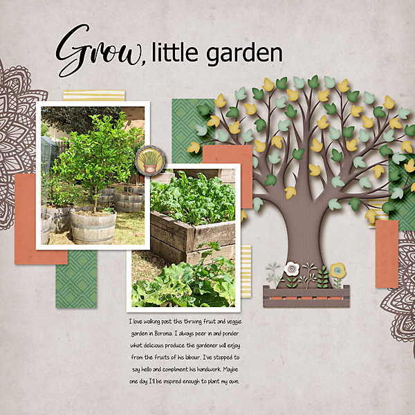Grow Little Garden