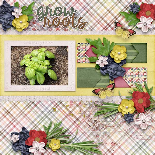 Grow Roots