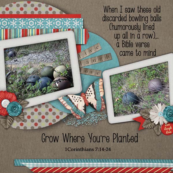 Grow where You're Planted