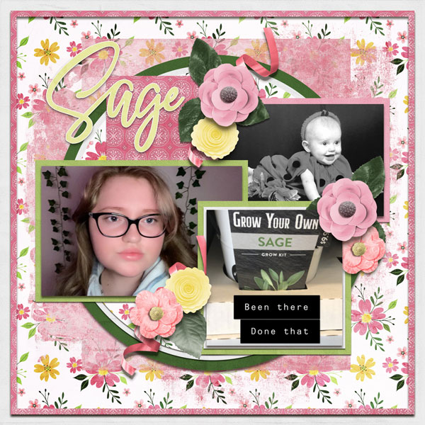 Grow Your Own Sage