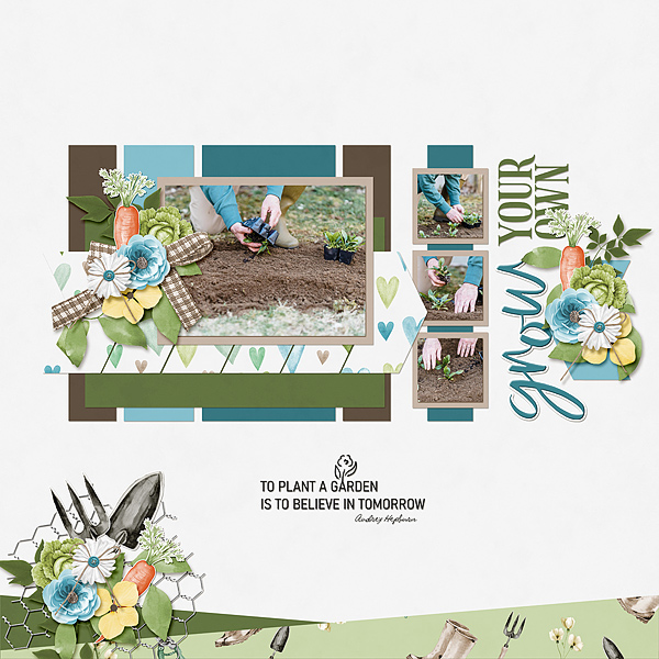 Grow Your Own