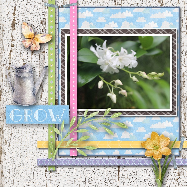 Grow