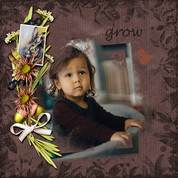 Grow