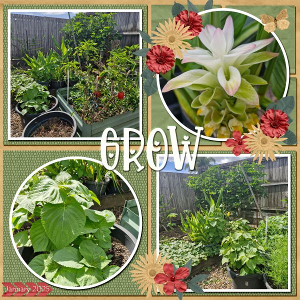 Grow