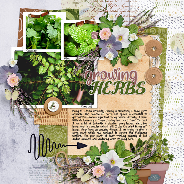 Growing Herbs