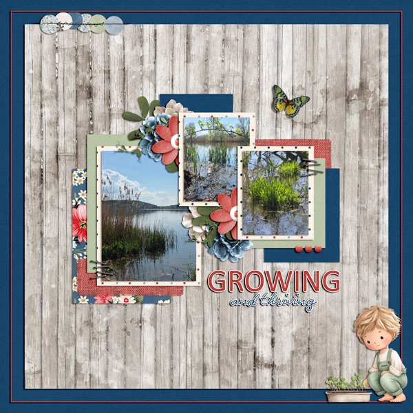 growing.jpg