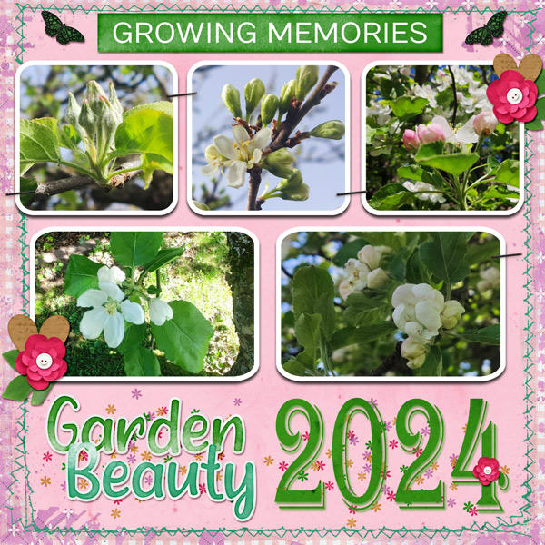 growing memories 2024