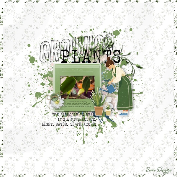 Growing Plants - In A Word challenge