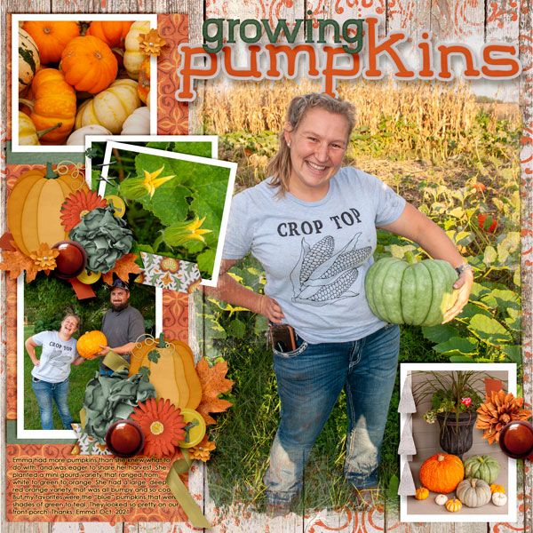 Growing Pumpkins