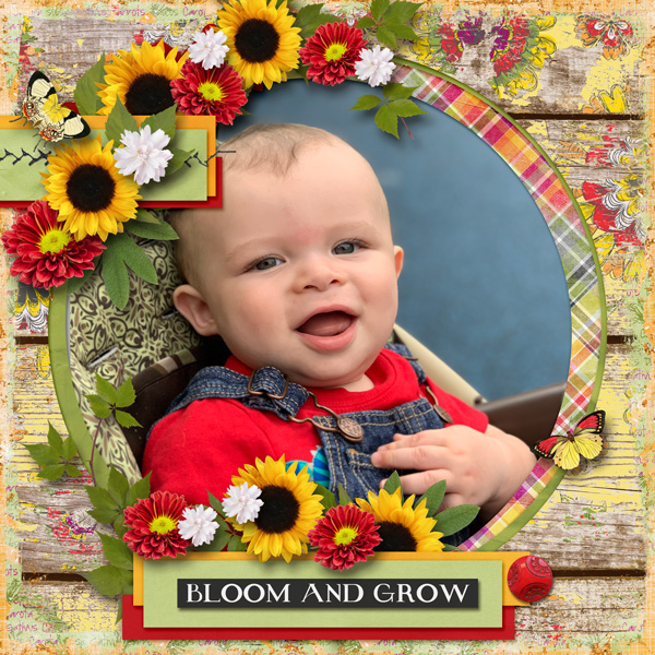 Growing Season
