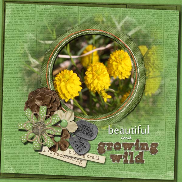 Growing Wild