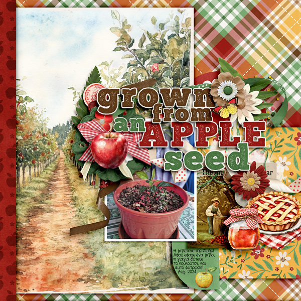 Grown from an apple seed