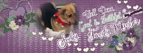 GS-(08)2019_FBheaderChallMAGSbyFC