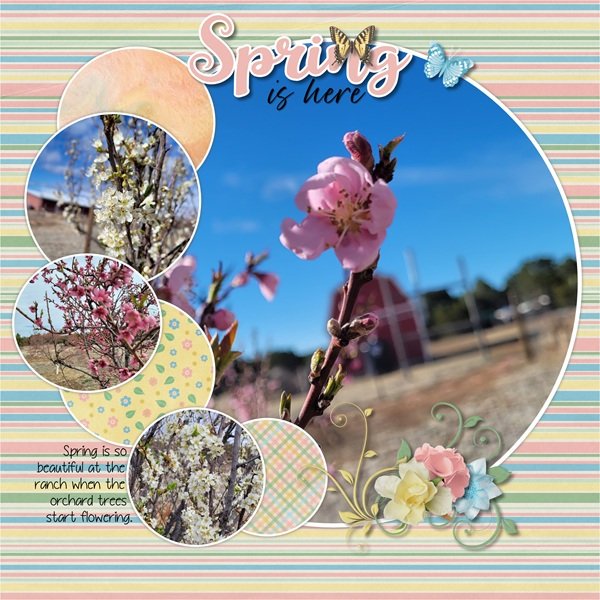 GS April photography.jpg