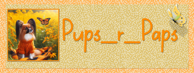 GS - Aug 2024 Yellow + Orange Siggy