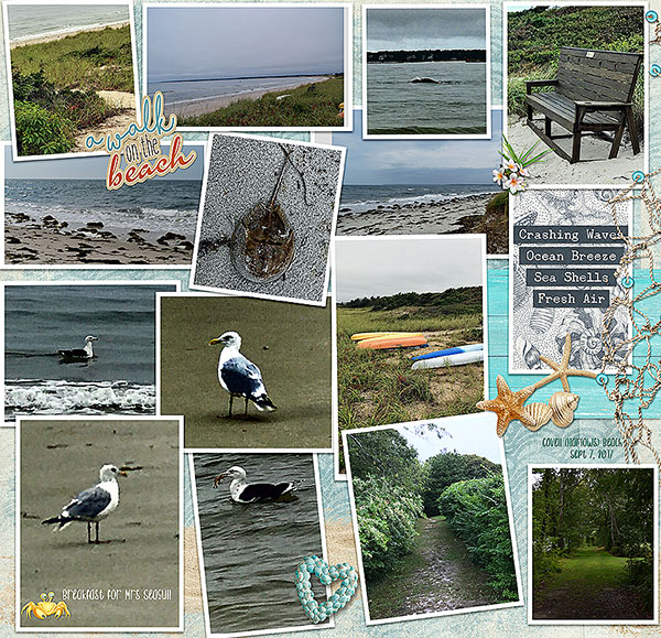 GS-BackItUpCh820-HarlowBeach-L-9717
