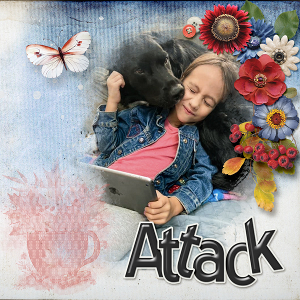 gs-brush-Jack-Attack-2