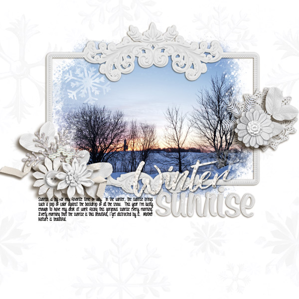 gs-collabs-winter-wonderland-cabinfever-truefriend-no-temp