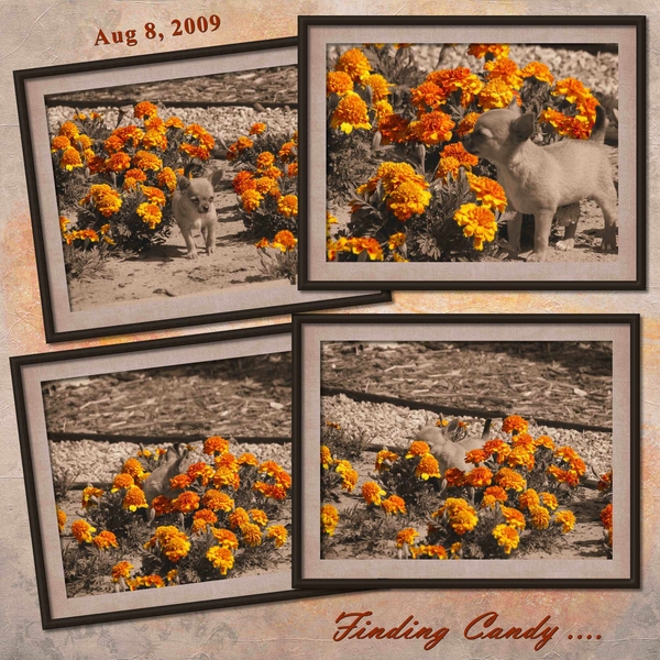 GS Color Challenge Jun 2021