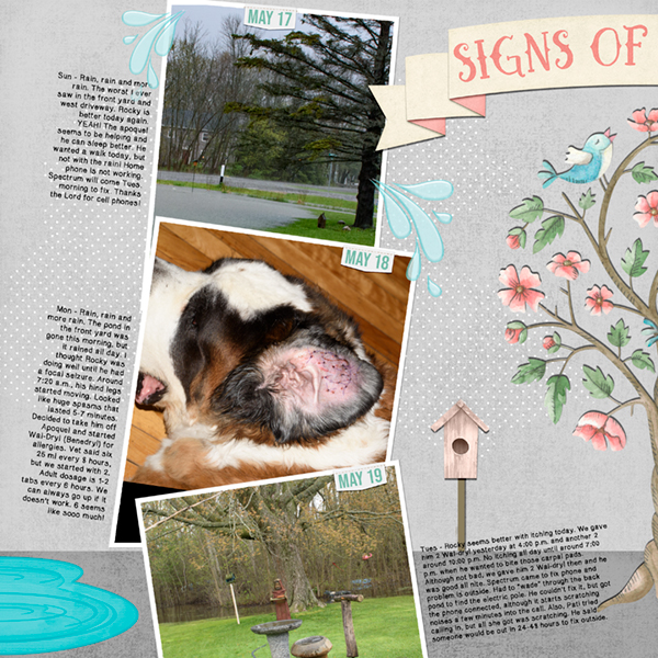 GS Created with Rewards - Signs of Spring
