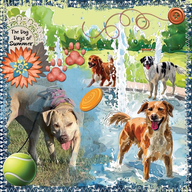 GS-CT-TBC-TheDogPark-002-Page-3.jpg
