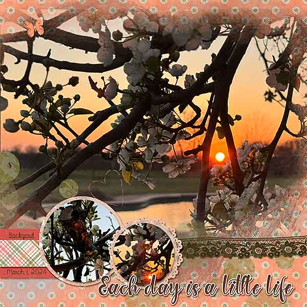 GS-CWR724-PearTreeSunset3124