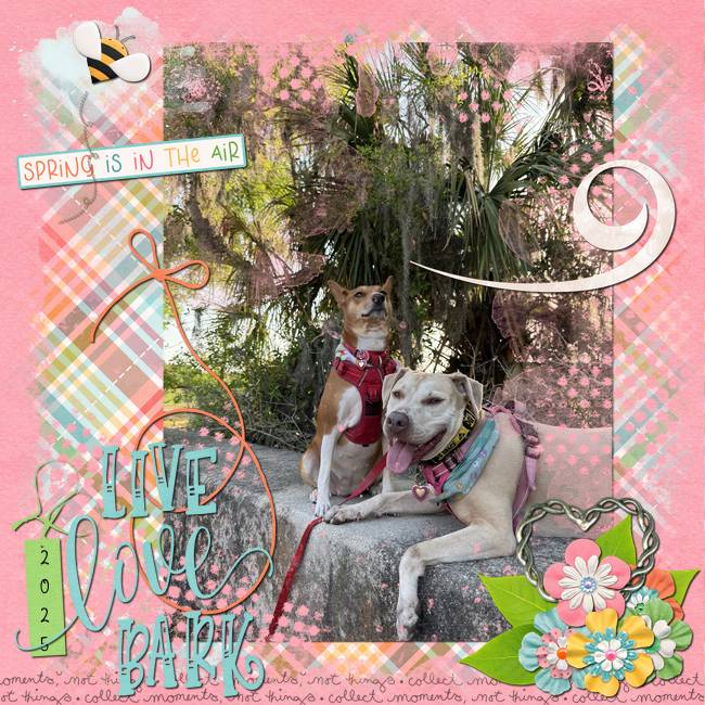 GS-DDCh-SpringAir-April25.jpg