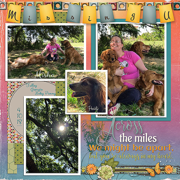 GS-DDChal1120-MissingMisha1-41018
