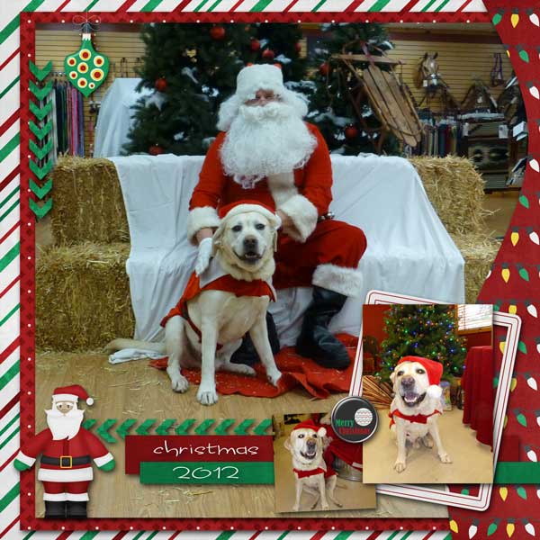 gs-dec-2012-template-2