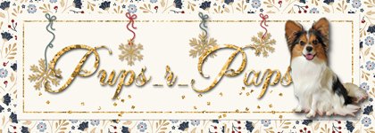 GS-Dec-2025-Gold-Siggy