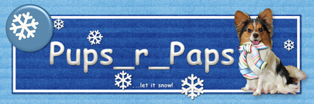 GS-January 2024 Snowflakes Siggy