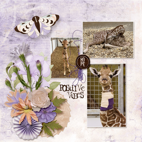 gs-jbs-zoo-hope-1