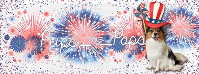GS---July-2025-Flag-Colors-Siggy